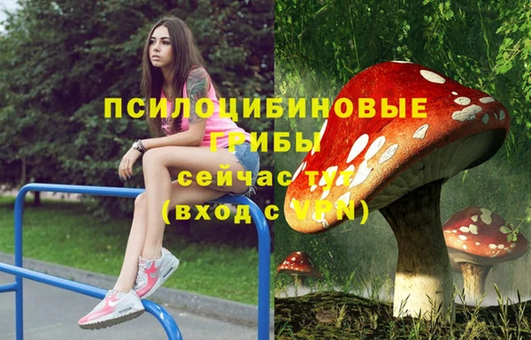 метадон Балахна