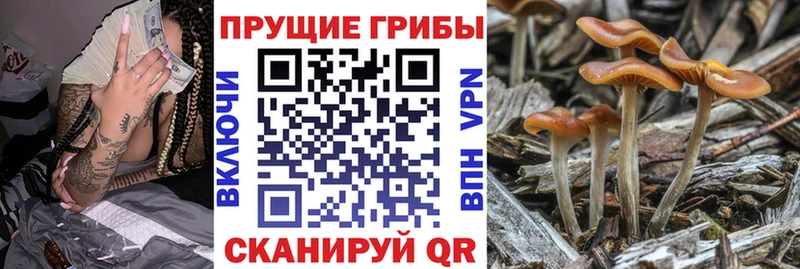 Псилоцибиновые грибы мухоморы  Гулькевичи 